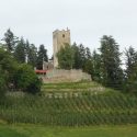 Trentino Alto Adige: In mtb tra tre castelli di Nals